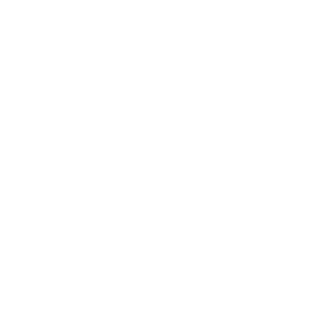 dataskience